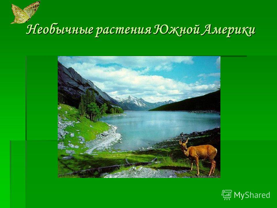 Погода в звериноголовском на 2 дня