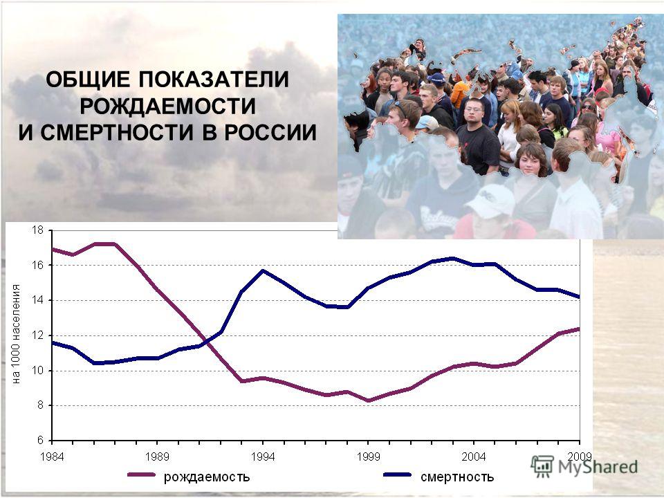 Дипломная работа по теме Географические особенности рождаемости развитых стран Дипломная работа по теме Географические особенности рождаемости развитых стран