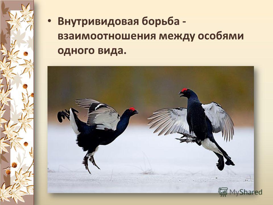 Наследственная изменчивость связана с Наследственная изменчивость связана с