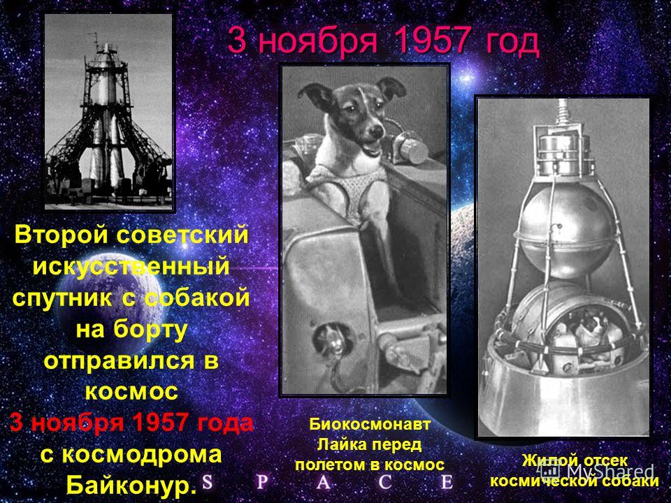 Второй советский искусственный спутник с собакой на борту отправился в космос 3 ноября 1957 года с космодрома Байконур. 3 ноября 1957 год Биокосмонавт Лайка перед полетом в космос Жилой отсек космической собаки