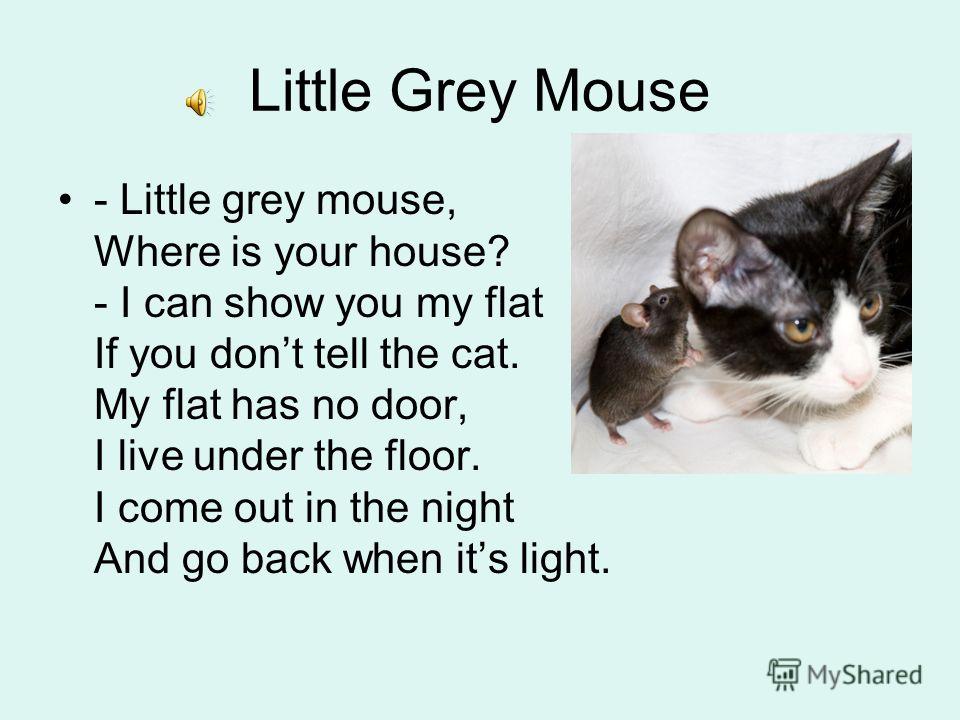 Little mouse where is your house стих Little mouse where is your house стих