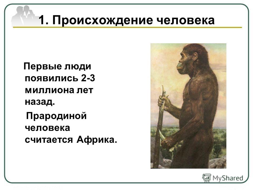 Реферат По Биологии На Тему Происхождение Человека