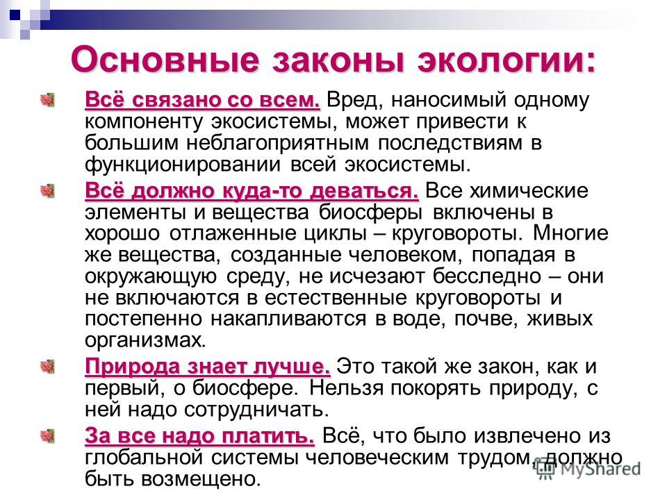 Все связано со всем цель Все связано со всем цель