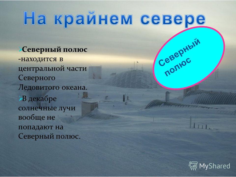 Презентация На Тему Северный Полюс