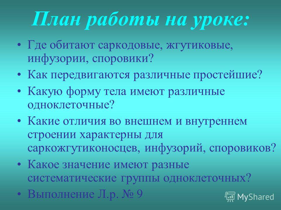 жгутиковые паразиты человека жгутиковые паразиты человека