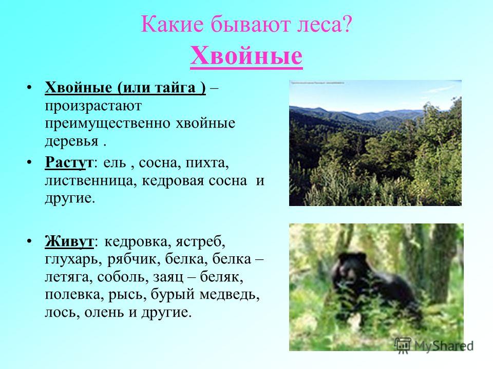 Как сделать приятное парню при ласках 54 Как сделать приятное парню при ласках 98
