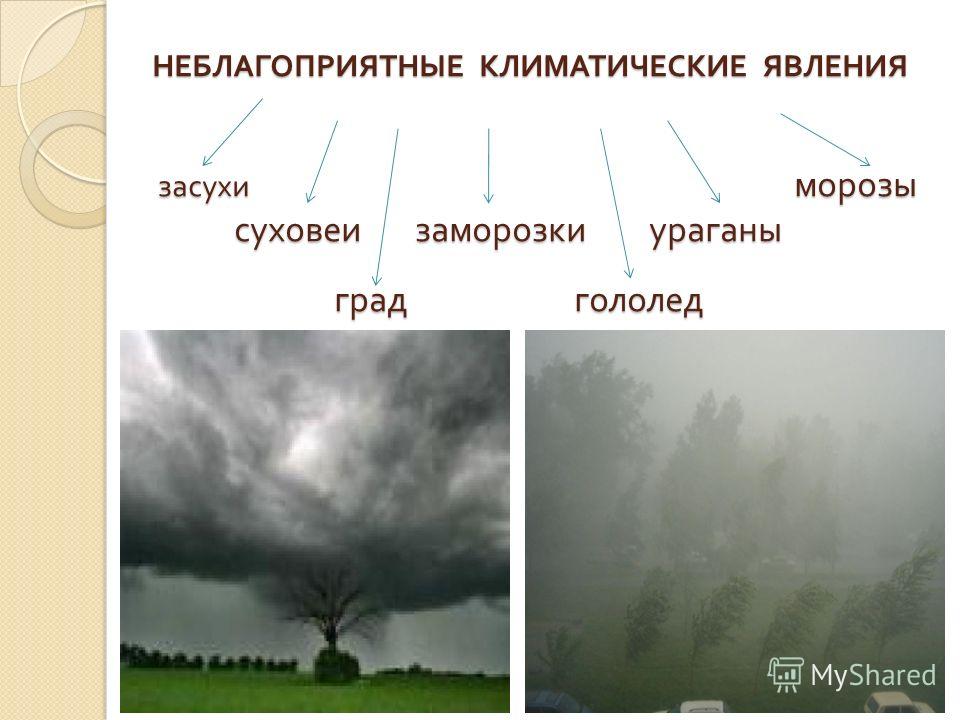 Явления связанные с климатом Явления связанные с климатом
