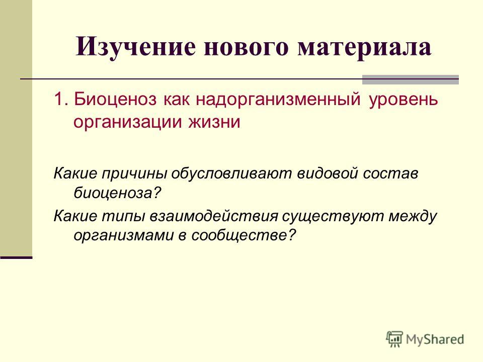 Самостоятельная работа учащихся и его виды Самостоятельная работа учащихся и его виды