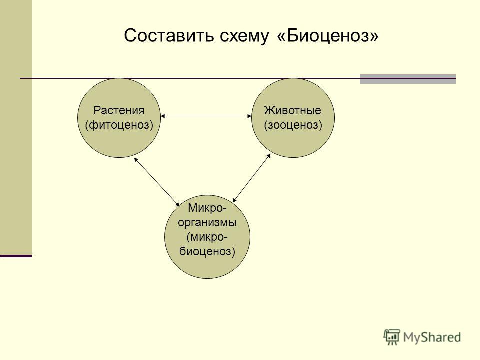 Самостоятельная работа учащихся и его виды Самостоятельная работа учащихся и его виды