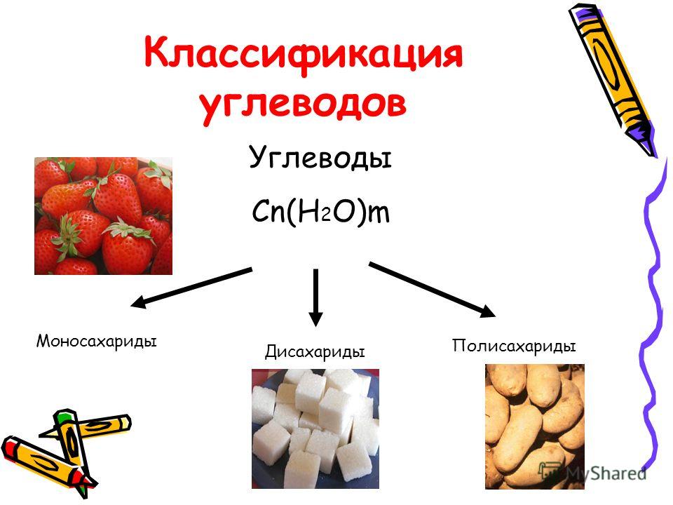 Полисахариды в коже что это Полисахариды в коже что это