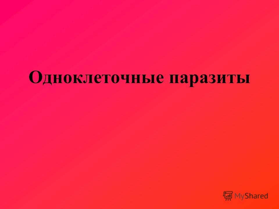 одноклеточные паразиты человека одноклеточные паразиты человека
