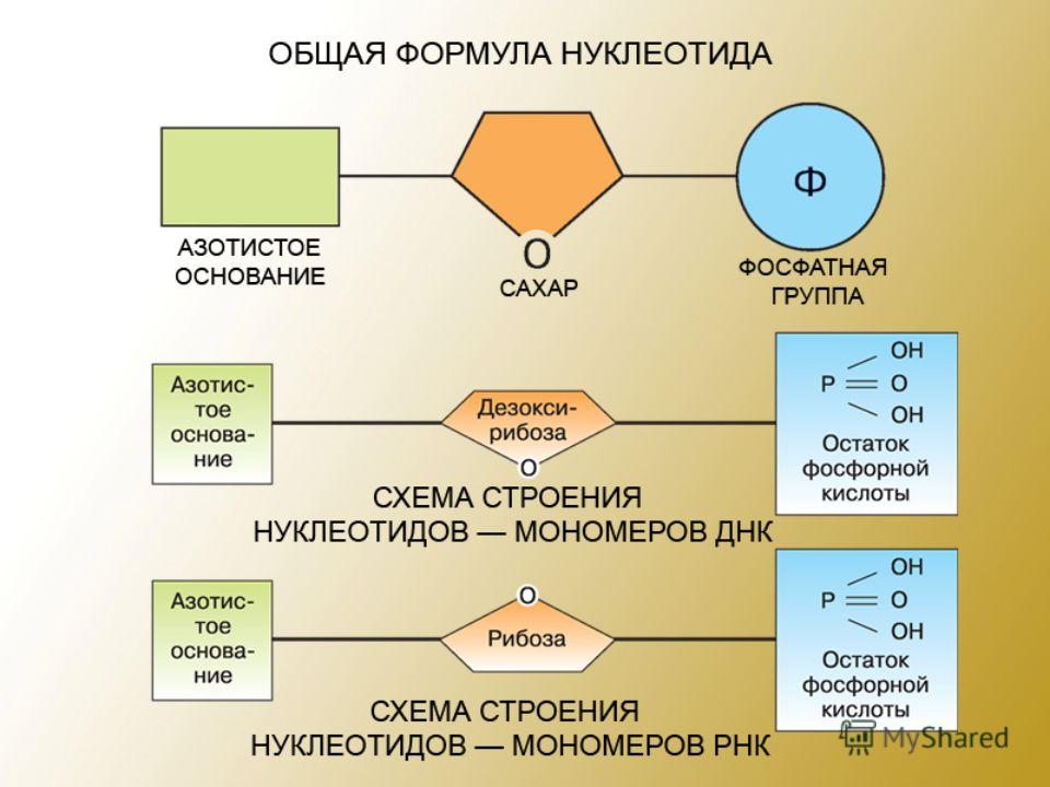 write structural formulas write structural formulas