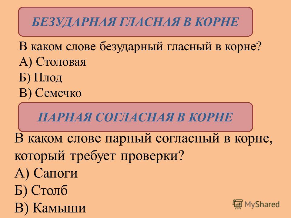 Тонирование волос что это такое? Фото до и после и Справка IBM Lotus Notes - m