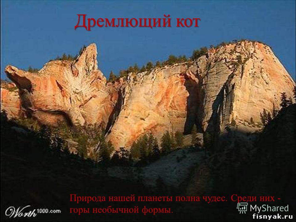 Сохраним природу нашей планеты картинки Сохраним природу нашей планеты картинки
