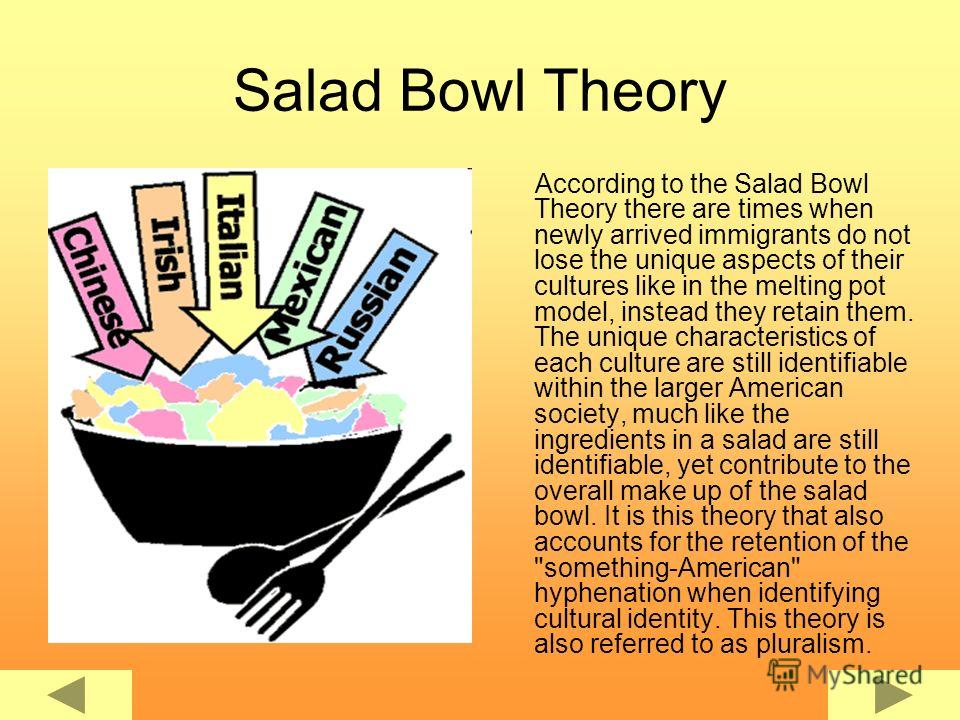 Melting pot essay