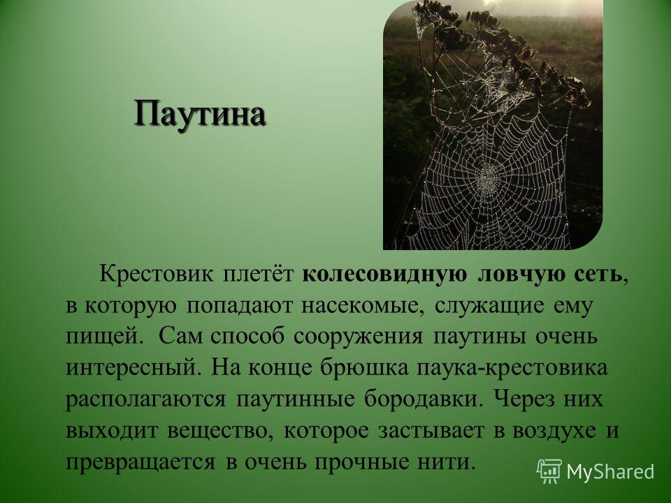 Лечение папиллом у детей отзывы