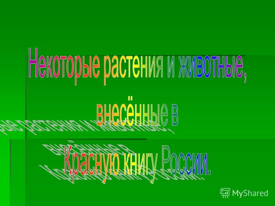 Белый Тигр книга скачать