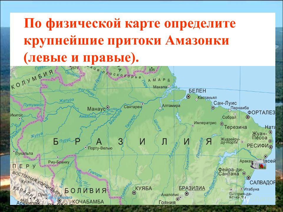 Где на карте находится амазонка Где на карте находится амазонка