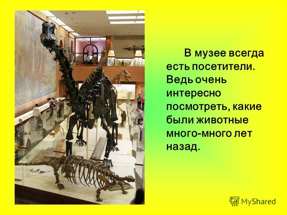 В музее всегда есть посетители. Ведь очень интересно посмотреть, какие были животные много-много лет назад.