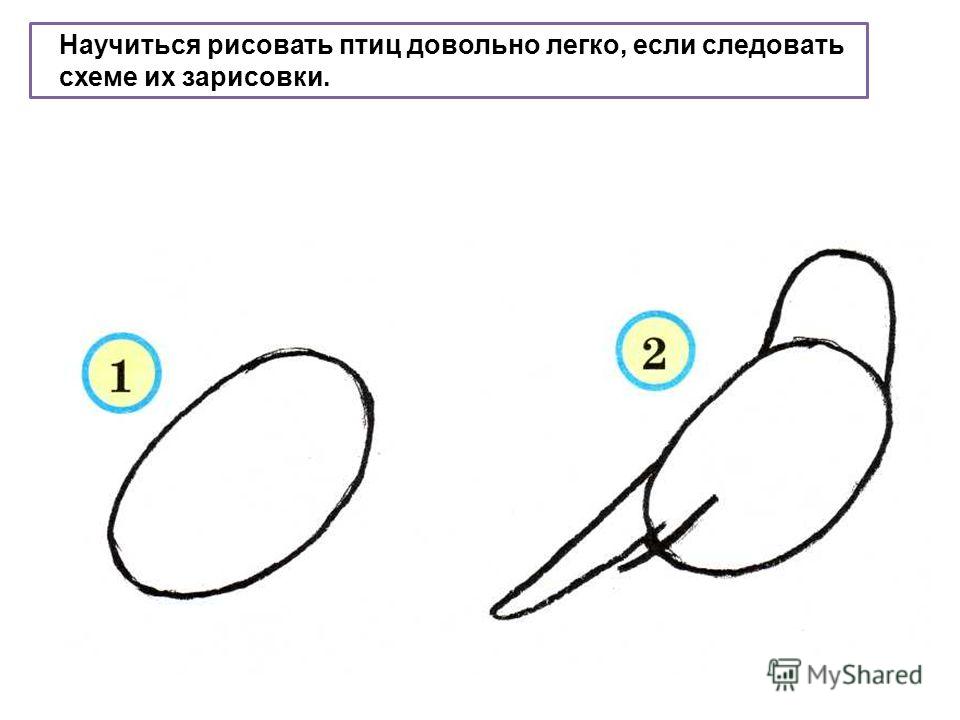 Как нарисовать домашних животных для 2 классов презентация по изо