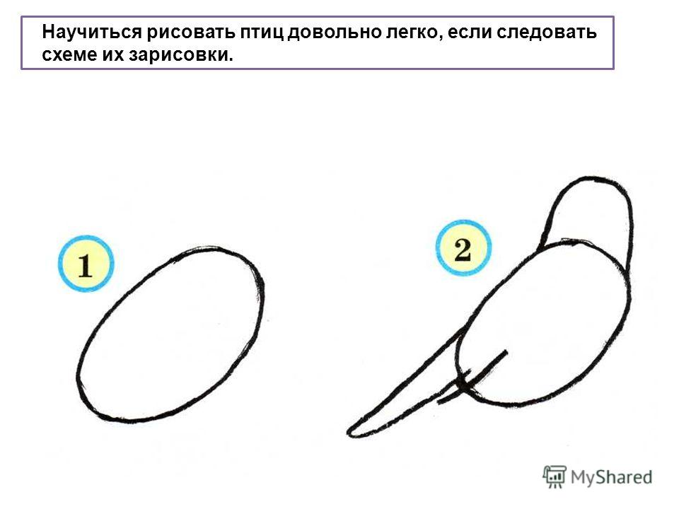 Конспект урока гармония 1 класс рисуем птиц изо