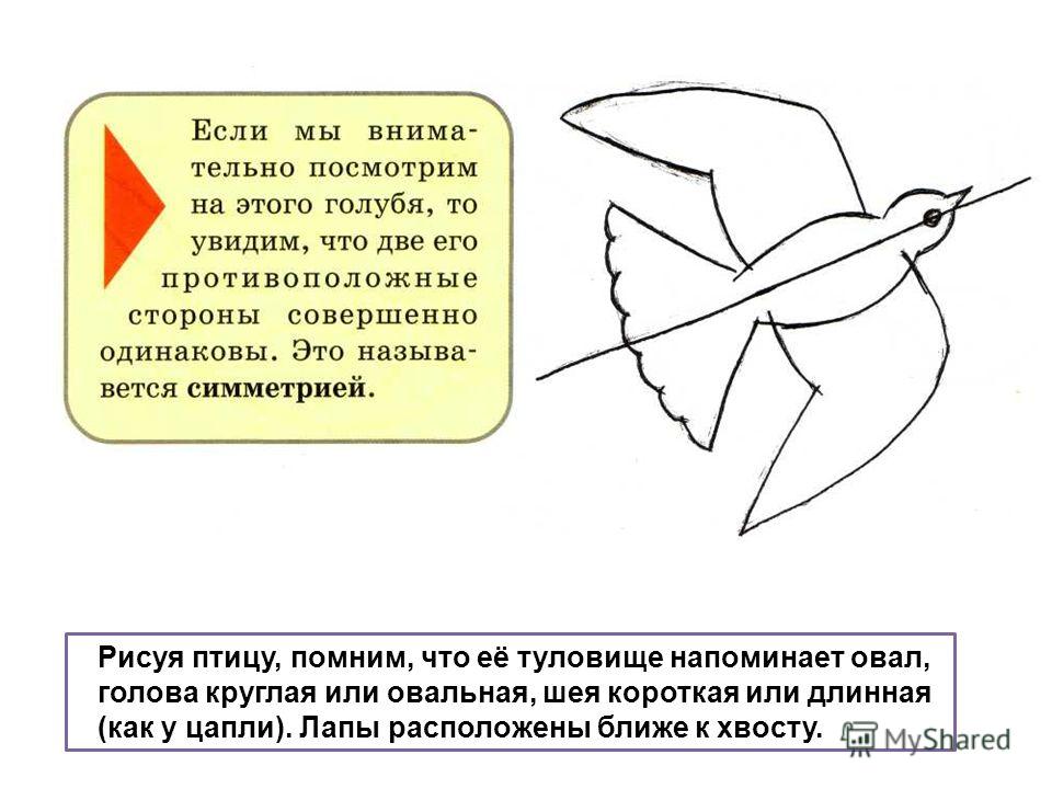 Изо 4 класс рисование птиц презентация