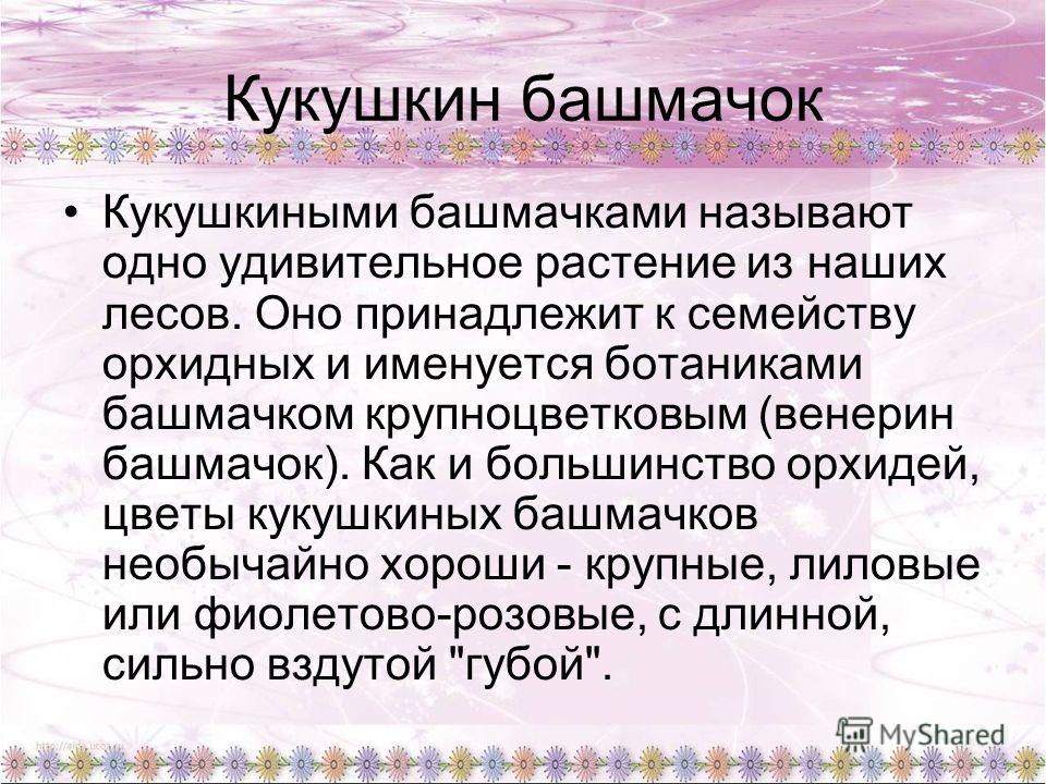 Луковицы цветов посадка осенью Луковицы цветов посадка осенью