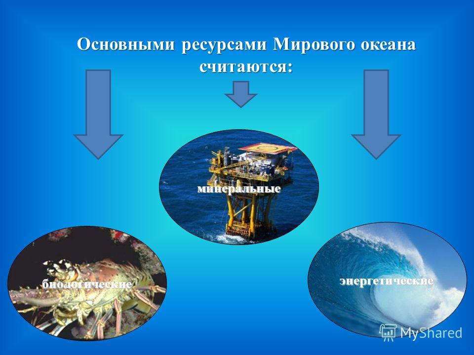 Контрольная работа по теме Ресурсы Мирового океана и перспективы их использования