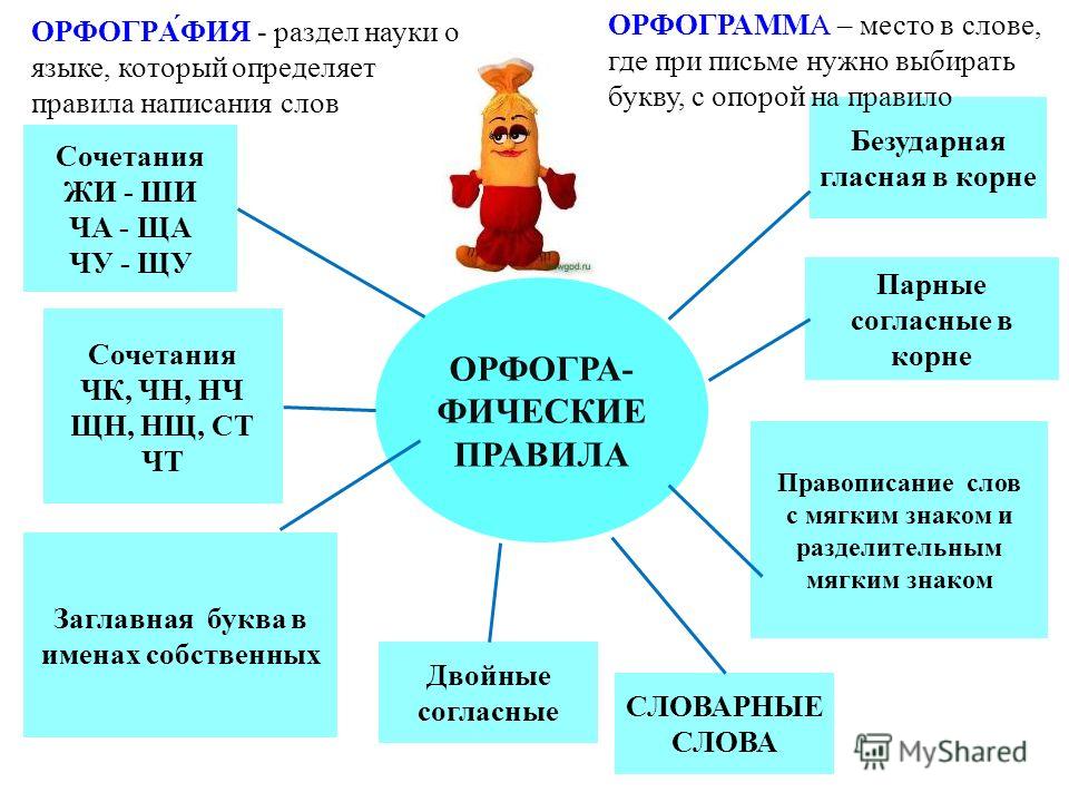 Орфограммы русского языка 2 класс месяца года