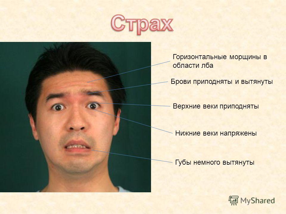 Только губы только ладони Только губы только ладони