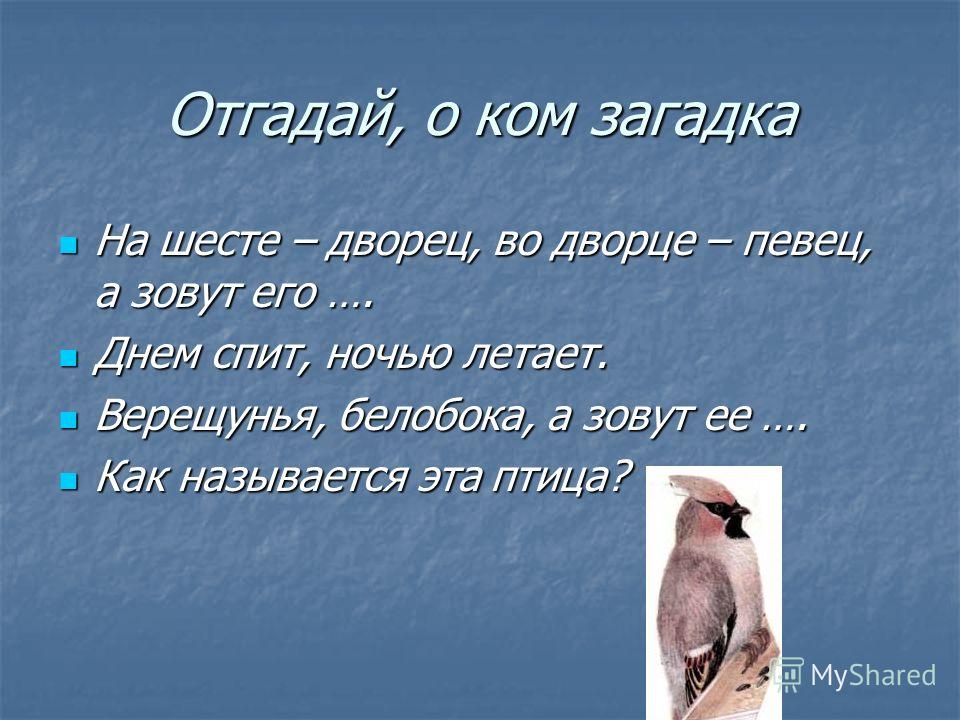 Днем спит ночью летает что это Днем спит ночью летает что это