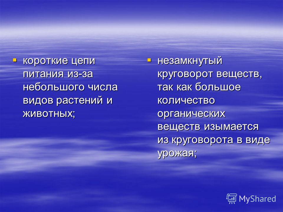 Как животные поля связаны с растениями Как животные поля связаны с растениями