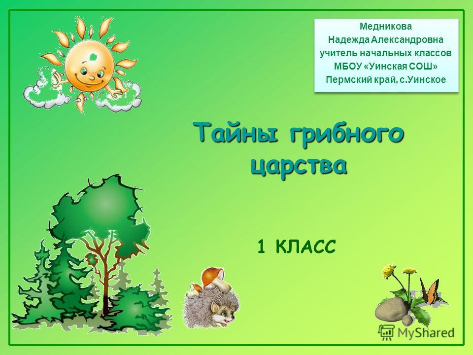 Гисметео рязань почасовой прогноз погоды