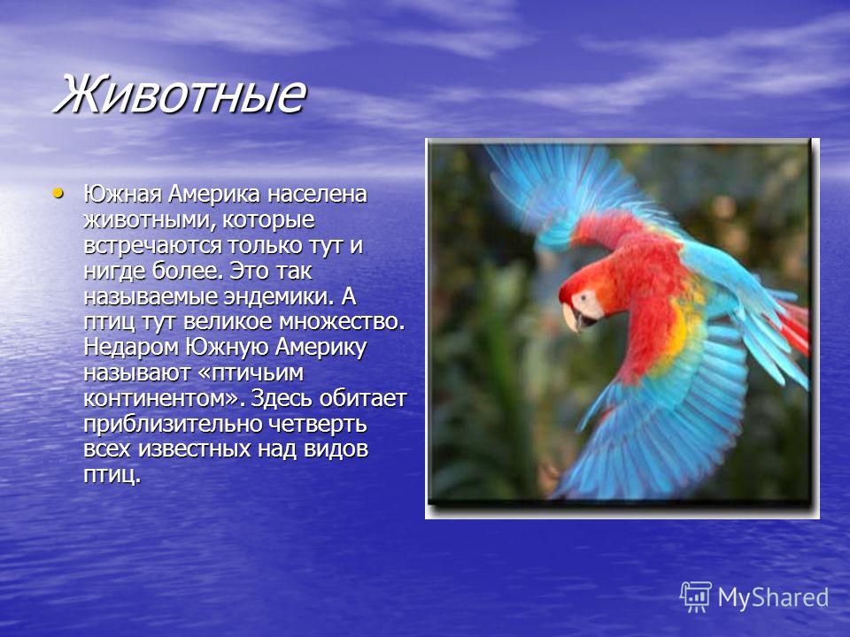 Картинки и фото природы южной америки Картинки и фото природы южной америки