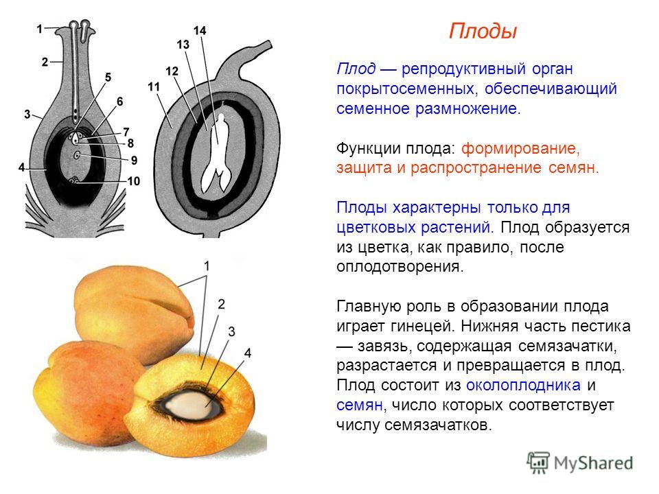 Как зарабатывать своими руками? Как заработать на Как забеременеть, если не получается. Причины, советы и