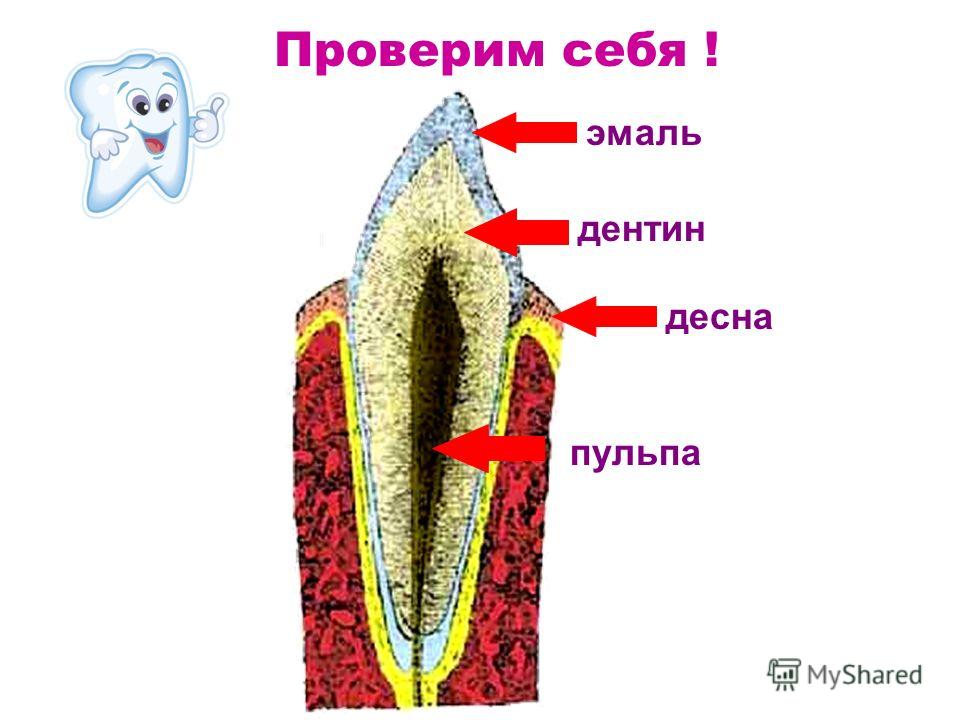 Опухла десна: что делать для лечения Аденто. ру Нигерийские письма (вид мошенничества в интернет) : Читаем