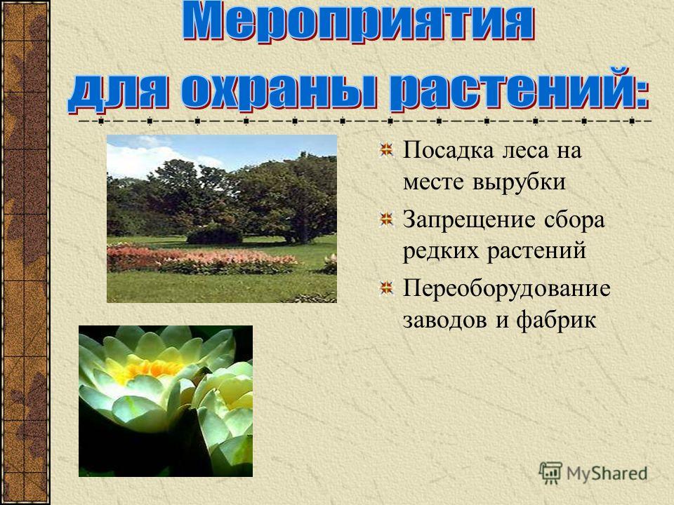 Поведение людей в природе картинки Поведение людей в природе картинки