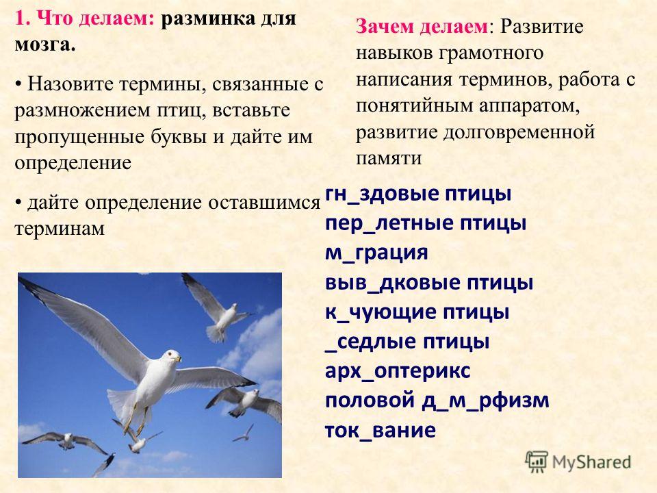 Делаем 7 класс Делаем 7 класс
