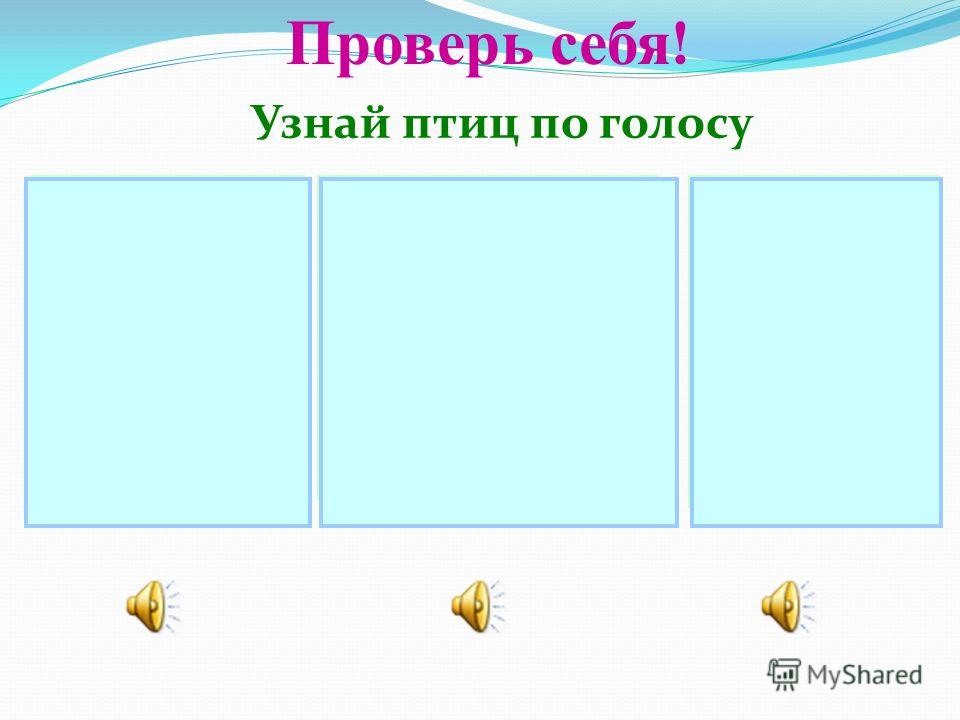 Картинки птиц которые прилетают к нам весной Картинки птиц которые прилетают к нам весной