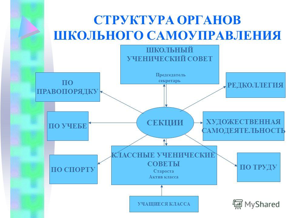 Структура школьного проекта 10 класс Структура школьного проекта