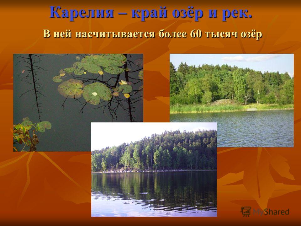 Карелия – край озёр и рек. В ней насчитывается более 60 тысяч озёр