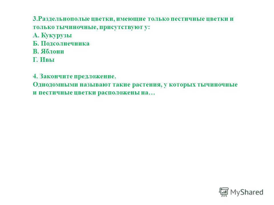 Когда клубника дает первый урожай отличительные особенности разных сортов Как ухаживать за клубникой после сбора урожая: полив, обрезка, подкормки