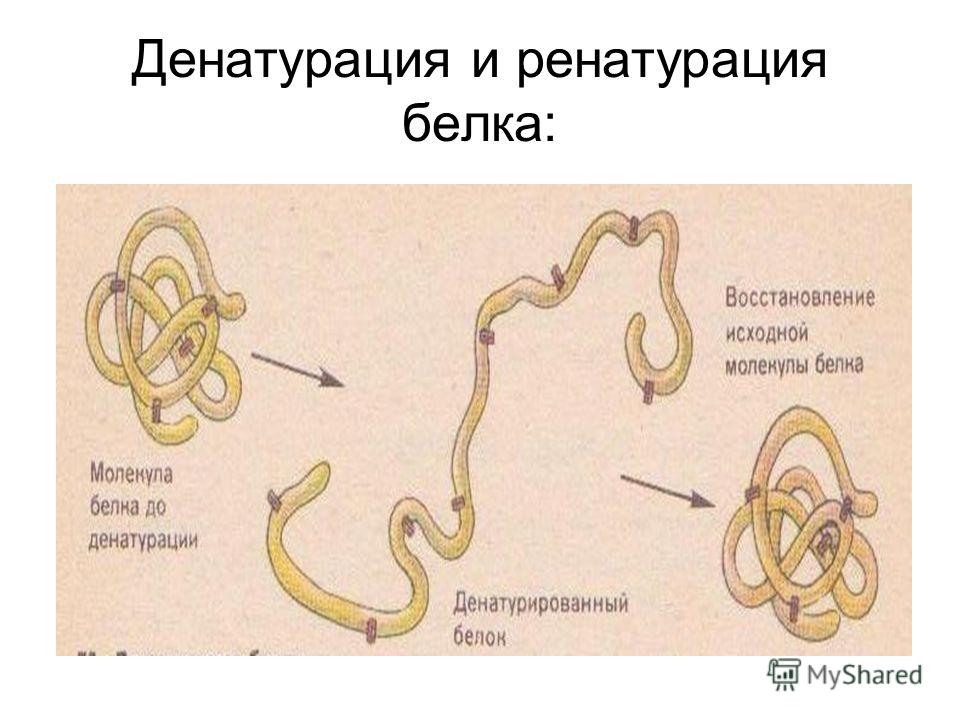 какие продукты образуют жир на животе какие продукты образуют жир на животе