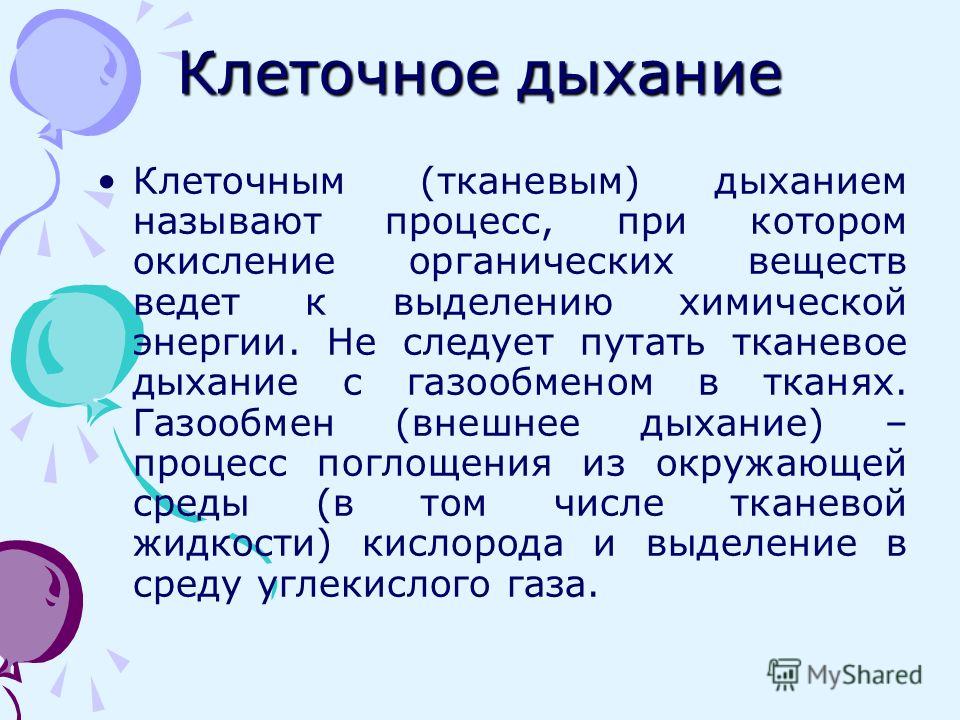 Не Следует Путать