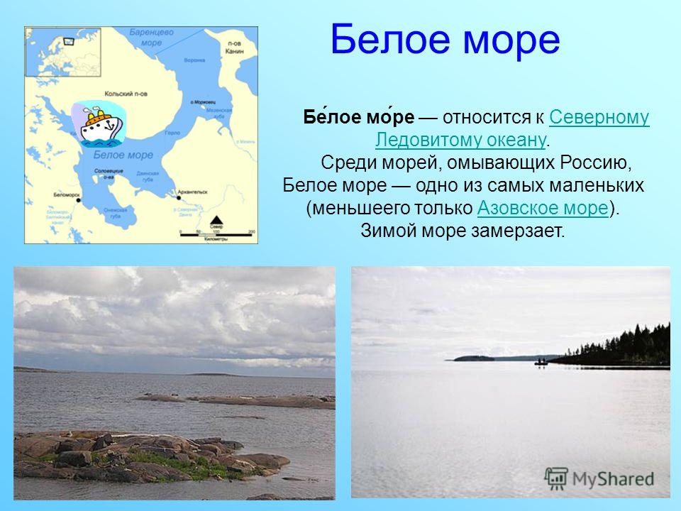 Реферат: Белое море