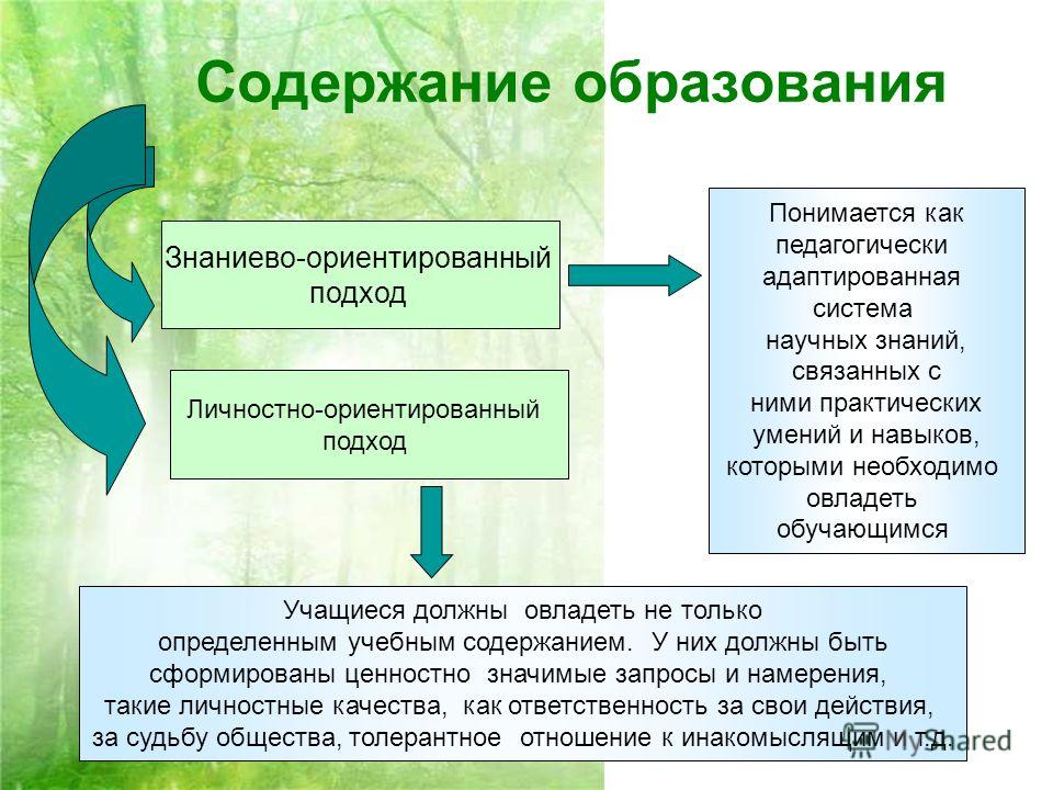 Содержание образования Содержание образования