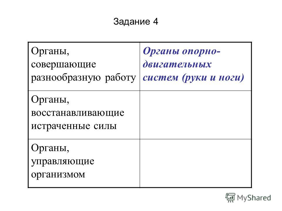 организм человека без паразитов организм человека без паразитов