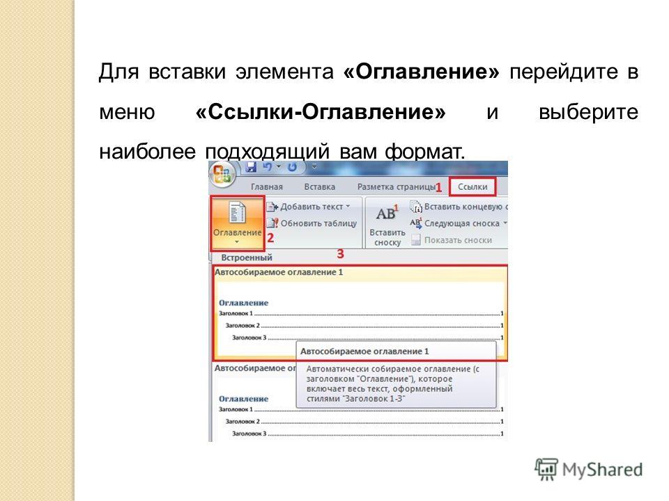 Все о выращивании хризантем в открытом грунте 437