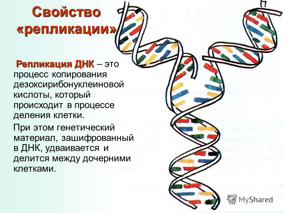 Схема вязания кофты для ребенка 2 года Схема вязания кофты для ребенка 2 года