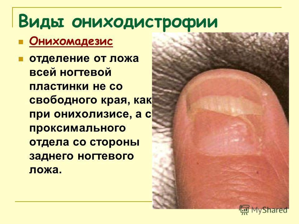 Как могут читать вашу/чужую переписку в WhatsApp. : Блог Женские халаты больших размеров Разнообразие моделей домашних халатов